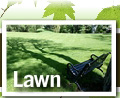 Lawn Care Services