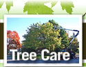 Tree Care Services
