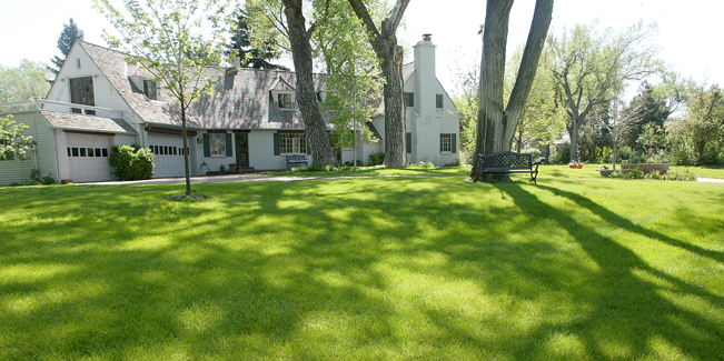 Denver Lawn Care Service In Lawn Service Denver