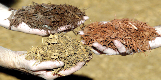 Denver Landscaping Mulch