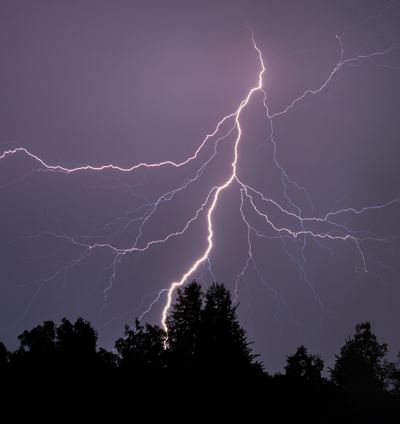 Denver Tree Company - Lightning Protection for Trees